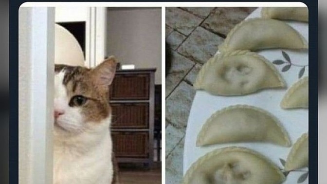 Hayatınızda bir baş belası var mı?