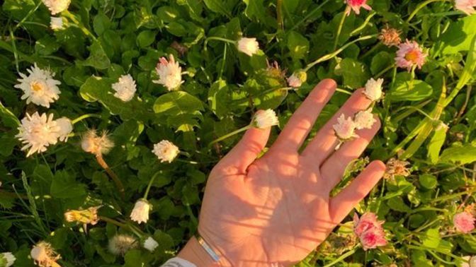 Mükemmel nedir? Senin mükemmelin ne?