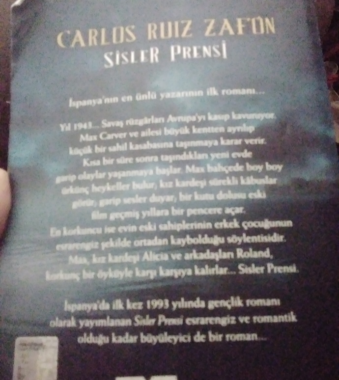 Okuduğunuz en sürükleyici roman?