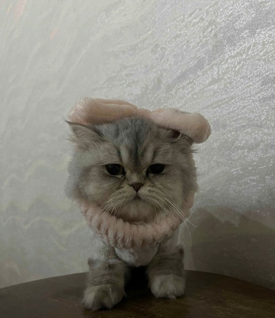 Üzüldüğünüz zaman nasıl sakinleşirsiniz🥲?