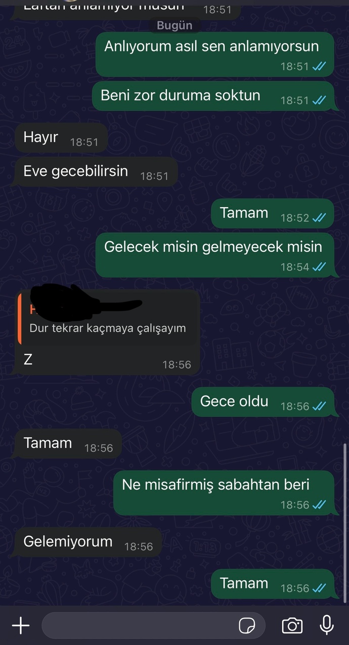 Eski sevgilimin yaptığı terbiyesizlik değil mi?