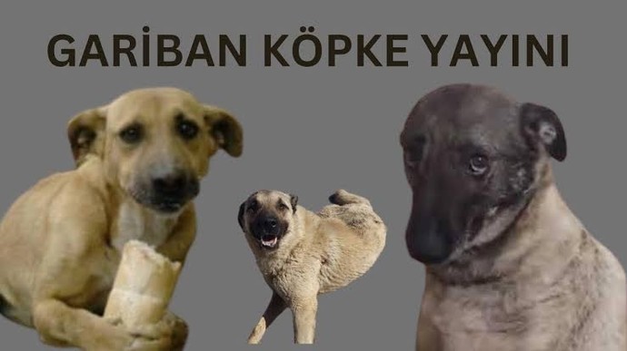 Sizce kadınlar mı daha gariban yoksa erkekler mi?