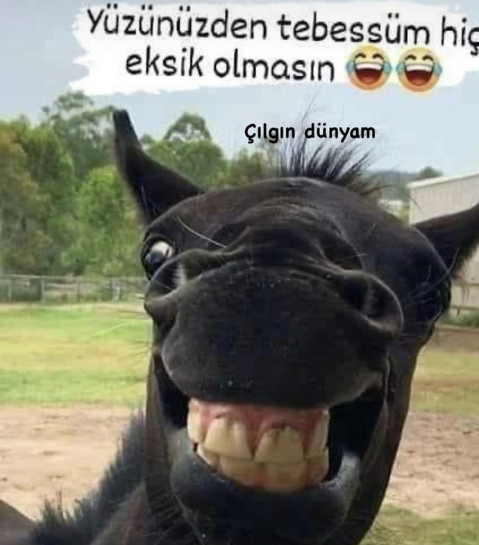 Yüzünüzden tebessüm eksik olmasın inşallah günaydın canlar?