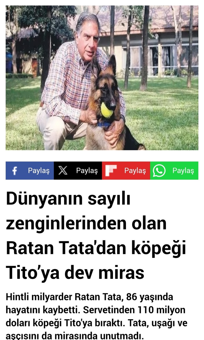 Anlatmaya gerek yok Görüyorsunuz? Siz çok zengin olsanız ne yapardınız?