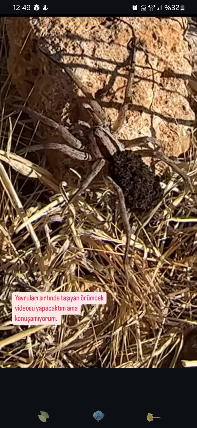 En çılgın hobiyi seçelim mi? Senin hobin ne?