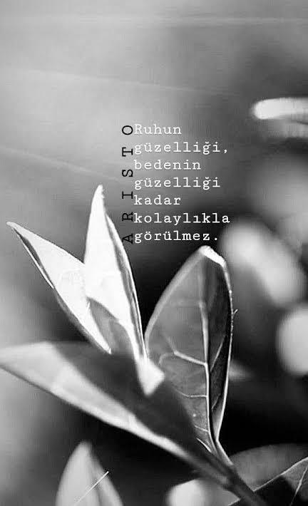 İnsanın dış güzelliği önemli ruh güzelliği mi?