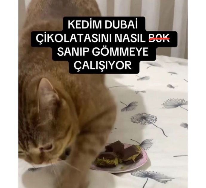 Dubai çikolatası güzellemesinden siz de bıktınız mı?