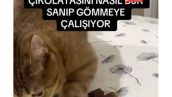 Dubai çikolatası güzellemesinden siz de bıktınız mı?