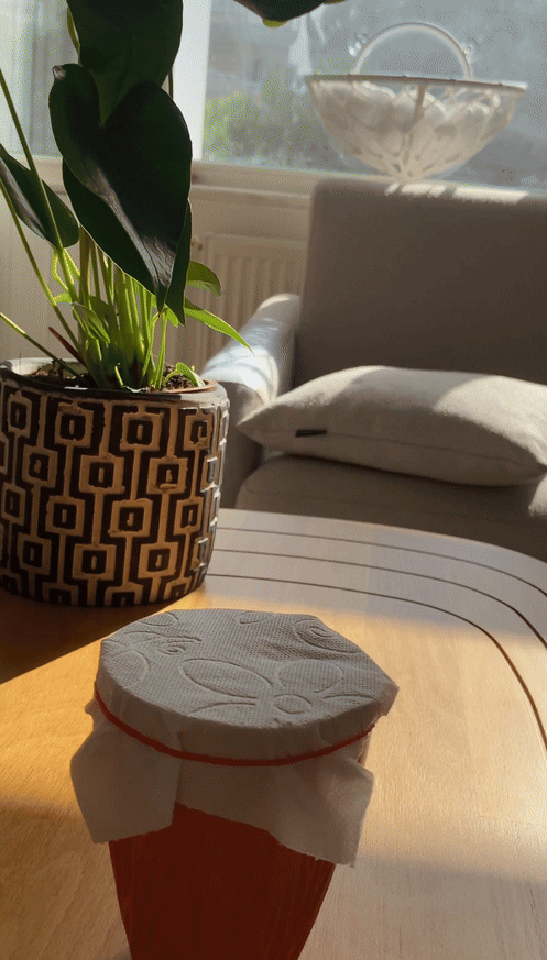 Solo Tuvalet Kağıdı buz testini başarıyla tamamlandı ve dayanıklılığını kanıtladı! ✅ Tuvalet kağıdında en çok neye dikkat edersiniz?