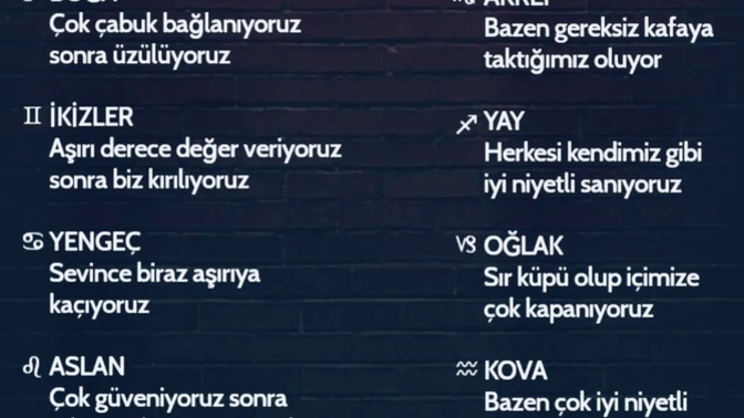 Sen neyi/neleri çok yaparsın?