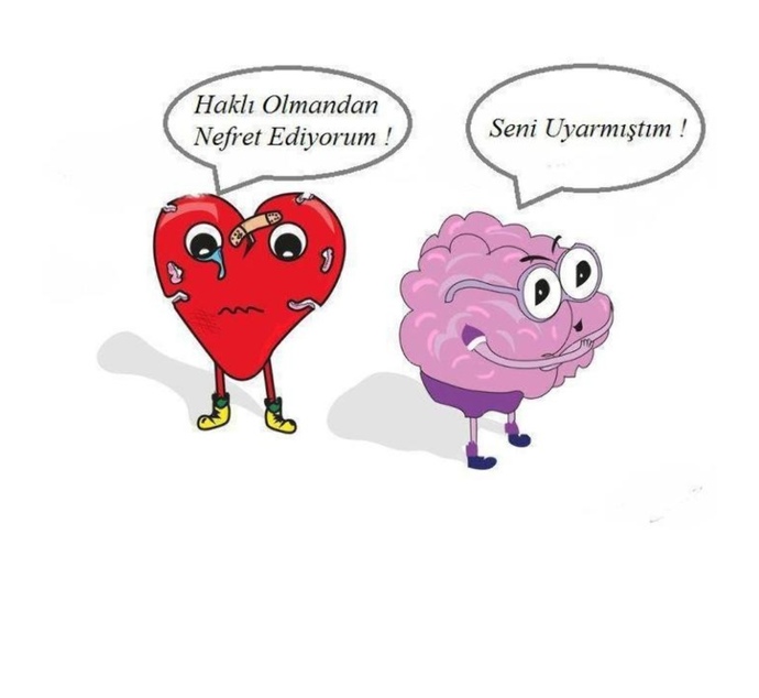 Aşkta mantık var mıdır, yok mudur?