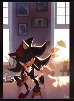 kedi sevmekk