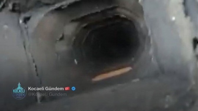 Bacadan müzik iyi dinlenir mi?
