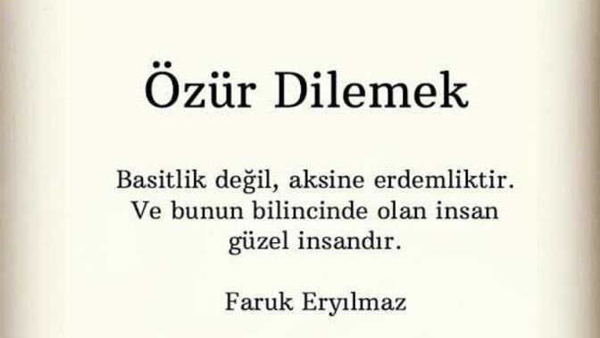 Yeri gelince erkek özür dilemesini bilecek haksız mıyım?