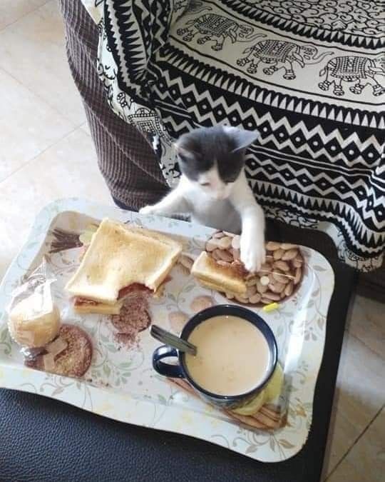 Tek yemeyi mi seversiniz yoksa kalabalıkla mı?