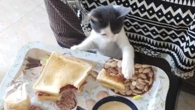 Tek yemeyi mi seversiniz yoksa kalabalıkla mı?