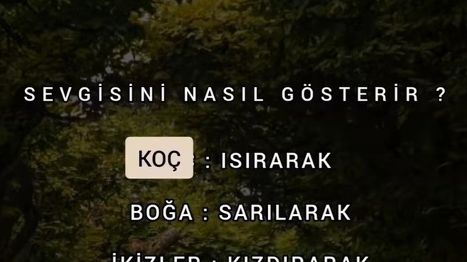 Sizin burcunuz sevgisini nasıl gösterir?
