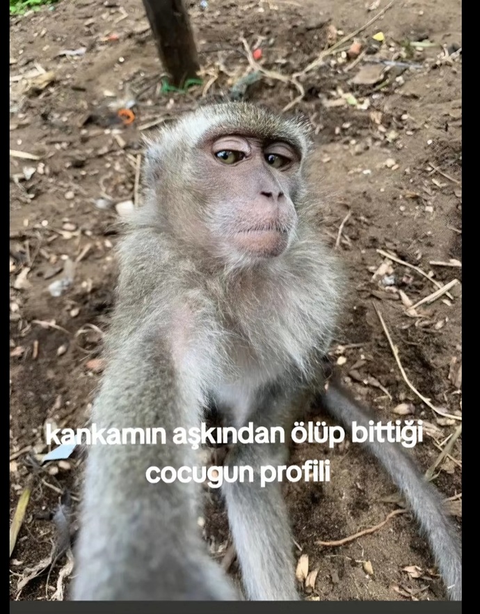 😂