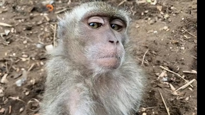 Aşkın gözü kör müdür cidden?