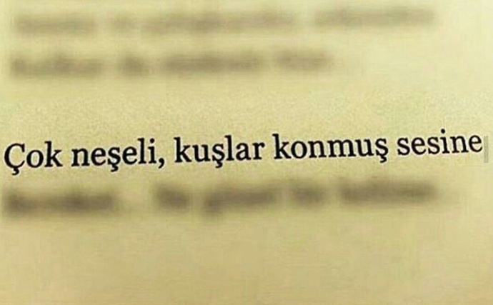 Çok neşeliyim, siz nasılsınız?