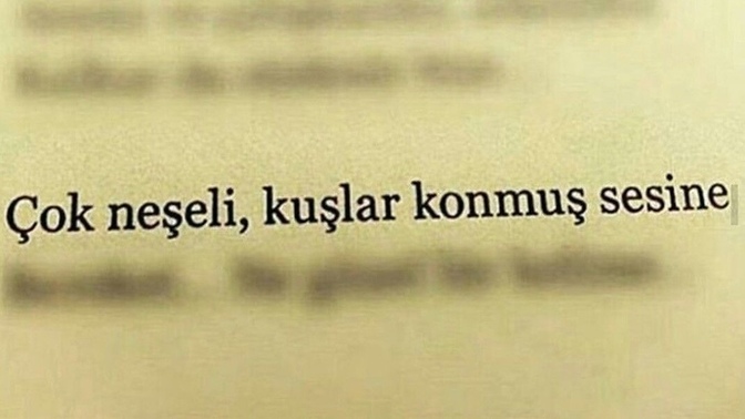 Çok neşeliyim, siz nasılsınız?
