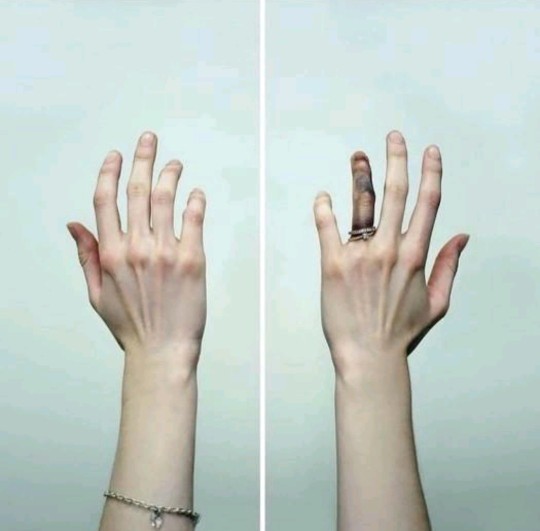 Kadının bir mesleğinin olması şart mıdır?