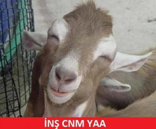 Tencere dibindeki sosa birazcık kek ufalayıp yedim diyetim bozulmuş mudur?