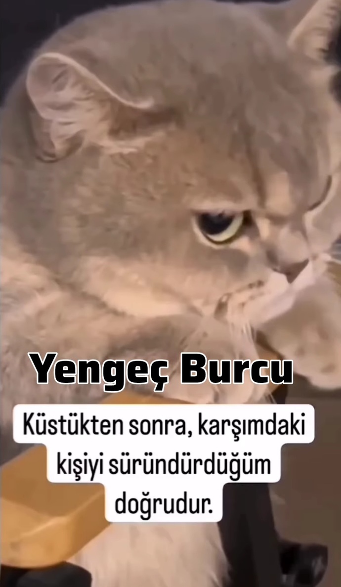 Burçlara inanıyor musunuz? Burcunuz nedir?