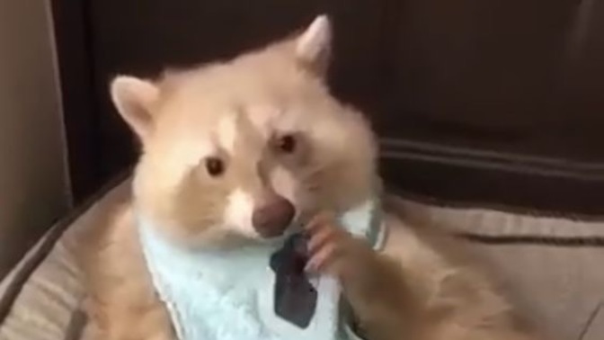 Burcuna göre sana hangi yemekler daha uygun olur?
