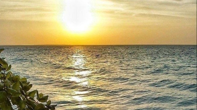 Güneş gördüğünüzde kendinizi sahile atar mısınız?