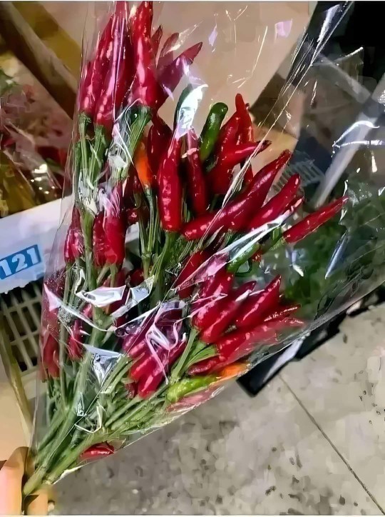 Sevdiğiniz size böyle bir hediye ile sürpriz yapsa ne yaparsınız?
