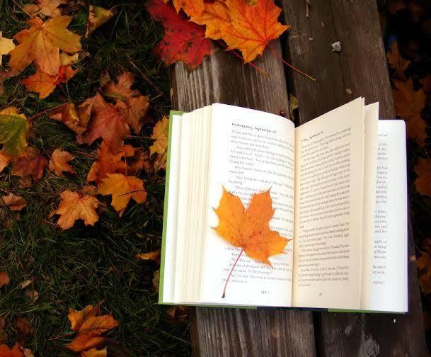 Kitap okumak için en güzel mevsim sence hangisi?