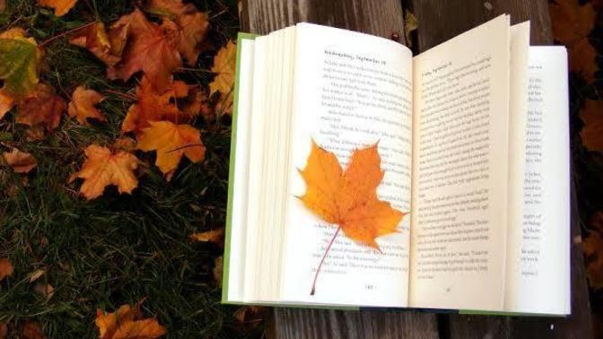Kitap okumak için en güzel mevsim sence hangisi?