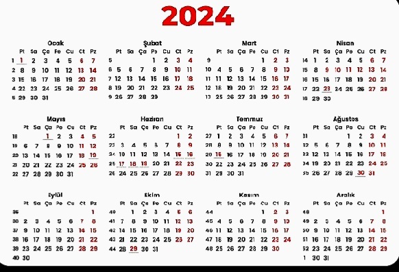 2024ün bitmesine 2 ay kaldı, yılınız şimdiye kadar nasıl geçti?