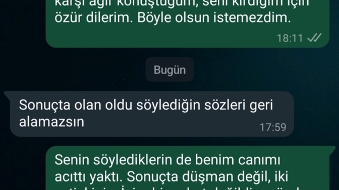 Selam , exime pişman olup yazdım son konuşmamız bu şekilde. Onu tekrar nasıl geri kazanabilirim? Başak burcu çok ketum biri?