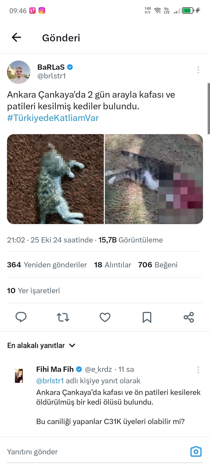 Eros kedinin katili şu an dışarıda geziyor hapse girecekti girmedi akp sayesiyle birde 2 yıl yatacakmış?