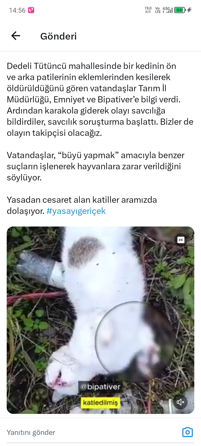 Eros kedinin katili şu an dışarıda geziyor hapse girecekti girmedi akp sayesiyle birde 2 yıl yatacakmış?