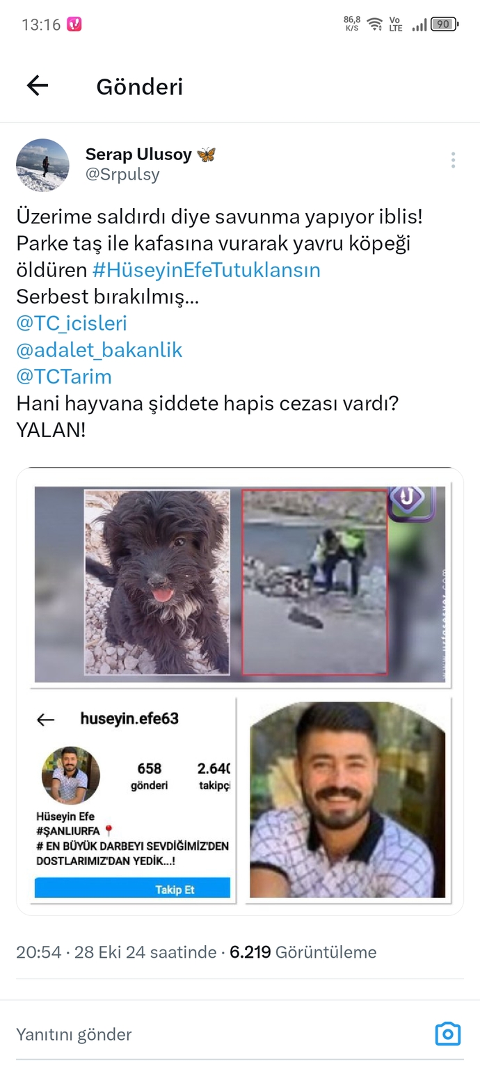 Eros kedinin katili şu an dışarıda geziyor hapse girecekti girmedi akp sayesiyle birde 2 yıl yatacakmış?