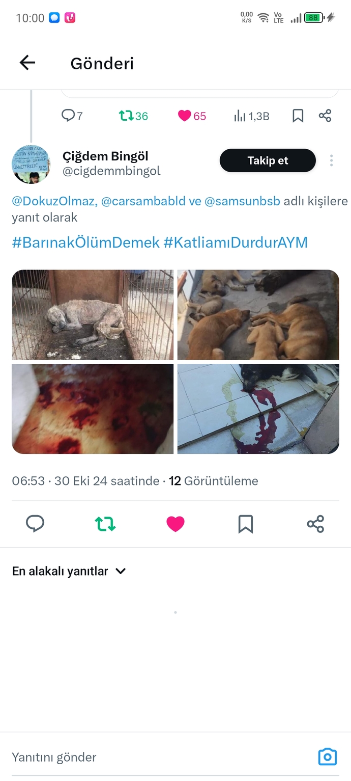 Eros kedinin katili şu an dışarıda geziyor hapse girecekti girmedi akp sayesiyle birde 2 yıl yatacakmış?