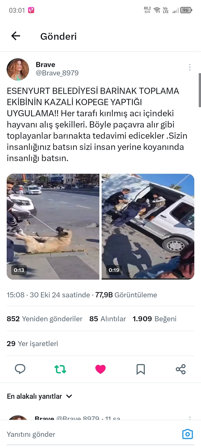 Eros kedinin katili şu an dışarıda geziyor hapse girecekti girmedi akp sayesiyle birde 2 yıl yatacakmış?