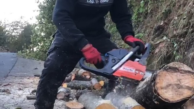 Odun Kesen var mı?