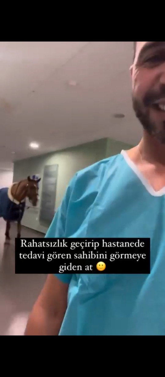 Hayvanlar insanlardan daha vefalı değil mi?