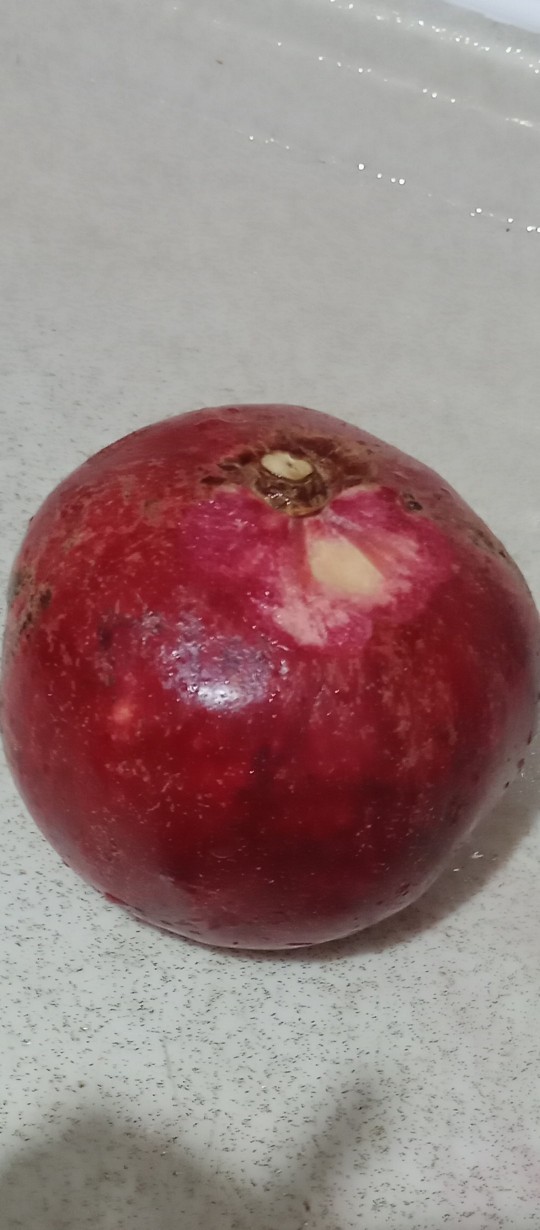 Nar ayıklıyorum size nar ayıklasam yer miydiniz?