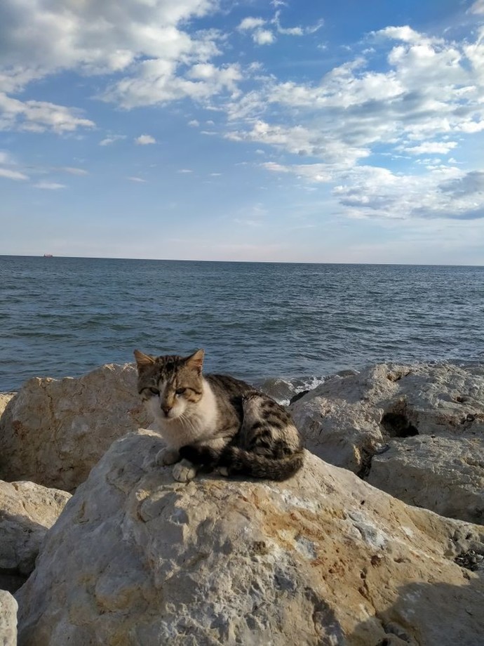 Pazar günü benim gibi erken uyananlar var mı?