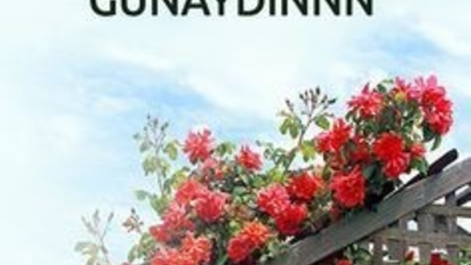 Pazar sabahı neden erken uyandınız?