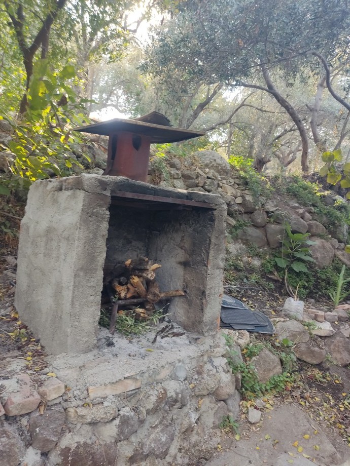 Bugün mangalda sana ne yapmamı istersin?