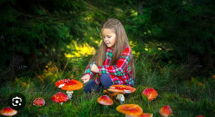 Mantar 🍄 güzel ve lezzetli bir besin midir?