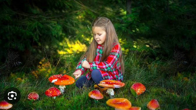 Mantar 🍄 güzel ve lezzetli bir besin midir?