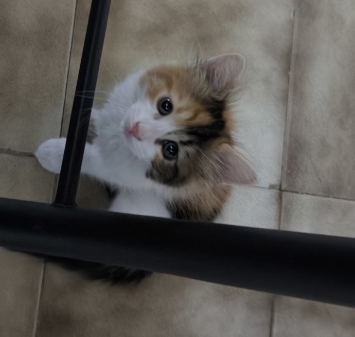 Çok seviyorum sizcede tatlı bi kız değil mi?