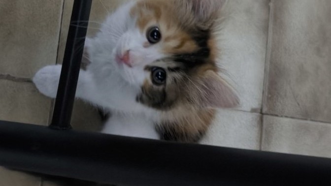Çok seviyorum sizcede tatlı bi kız değil mi?